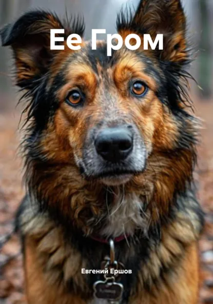 Обложка книги Ее Гром, Евгений Валентинович Ершов