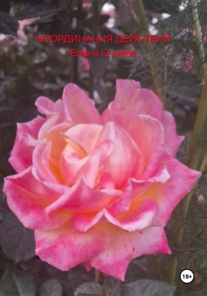 

Координация действий