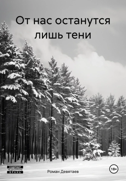 Обложка книги От нас останутся лишь тени, Роман Александрович Девятаев