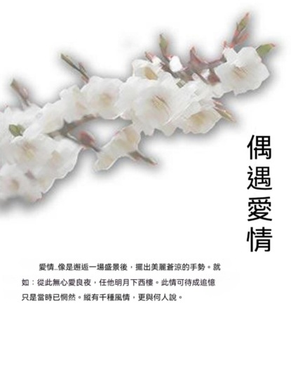 偶遇愛情