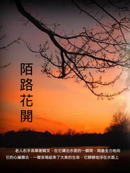 陌路花開