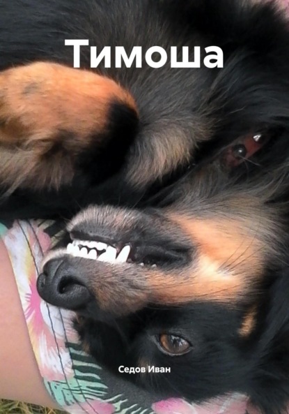 

Тимоша