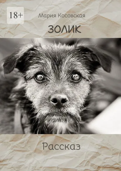 Обложка книги Золик, Мария Косовская