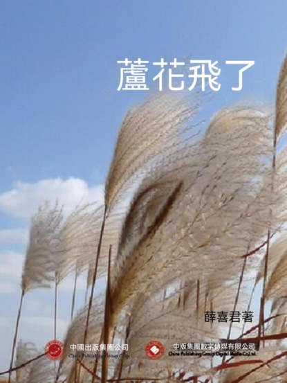蘆花飛了