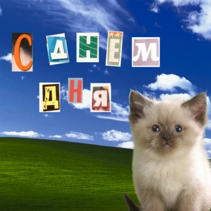 14-20 июля: ленимся, едим хот-доги и выигрываем в лотерею (по возможности)