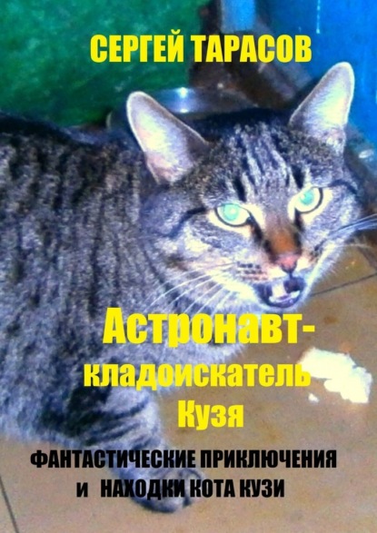 Астронавт-кладоискатель Кузя. Фантастические приключения и находки кота Кузи