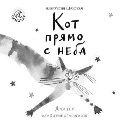 Кот прямо с неба