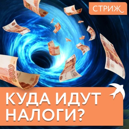 Куда идут наши налоги?