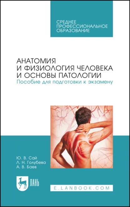 Обложка книги Анатомия и физиология человека и основы патологии. Пособие для подготовки к экзамену. Учебное пособие для СПО. 4-е издание, стереотипное, Ю. В. Сай