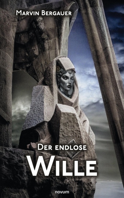 Der endlose Wille