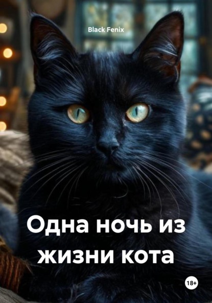 

Одна ночь из жизни кота