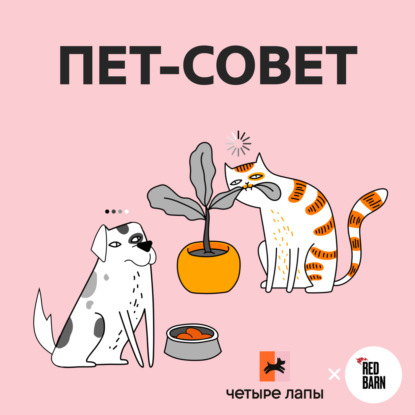 Оставляем животных одних дома