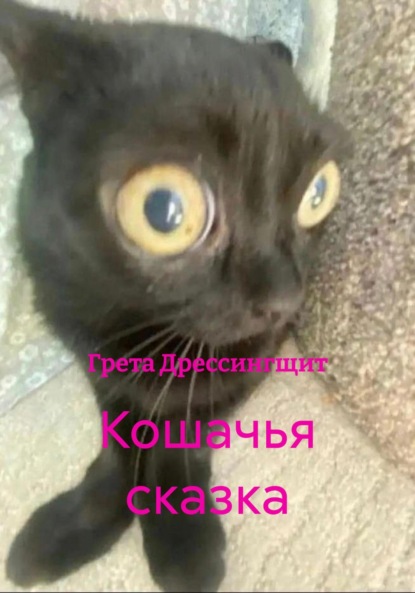 

Кошачья сказка