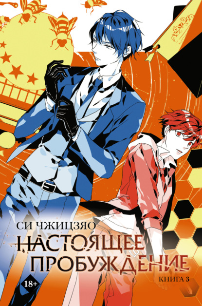 

Настоящее пробуждение. Real Awakening. Книга 3