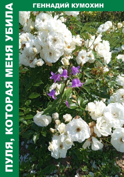 

Пуля, которая меня убила