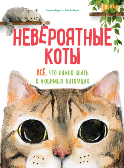 Невероятные коты. Всё, что нужно знать о любимых питомцах