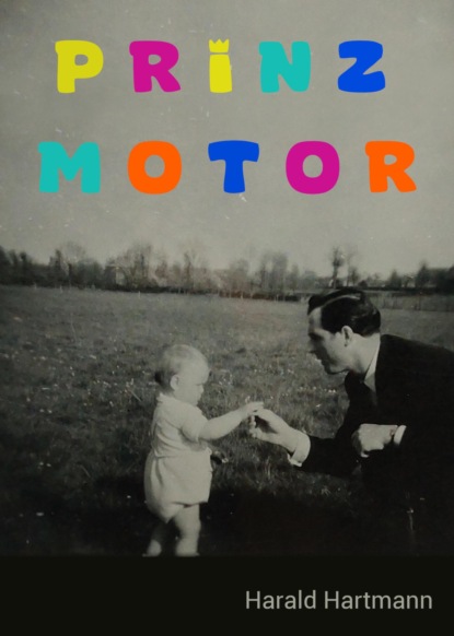 Prinz Motor