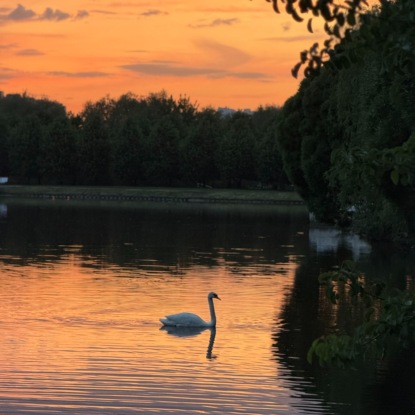 Сказка о Дайве и Нити Судьбы. Часть 4