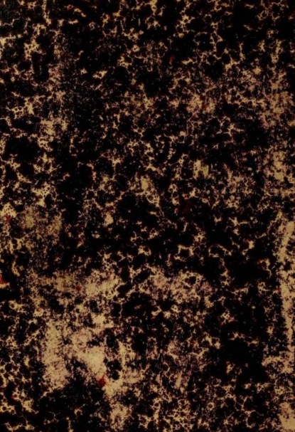 Tercüme-yi Mirkat