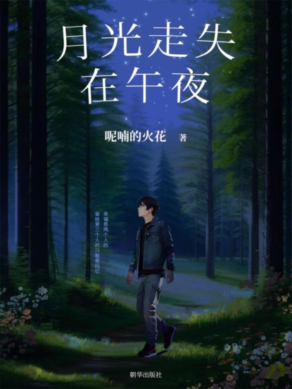月光走失在午夜