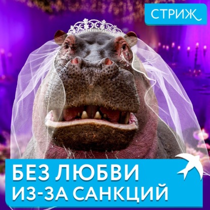 Бегемотиха без жениха | Запрет на фото еды  | Несносные подростки
