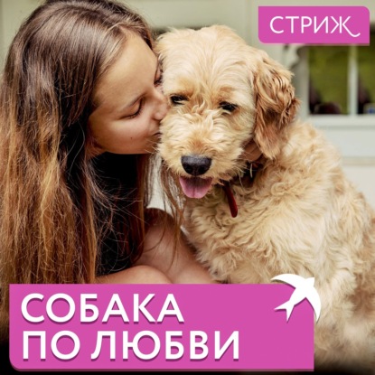 Почему взрослые собаки попадают в приюты и кто решается их забрать