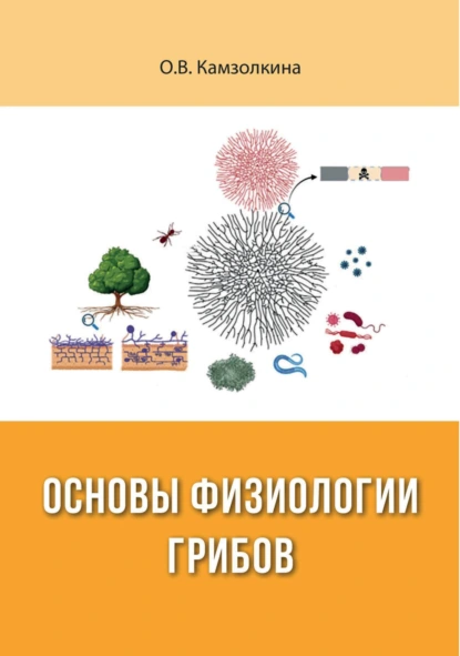 Обложка книги Основы физиологии грибов, О. В. Камзолкина