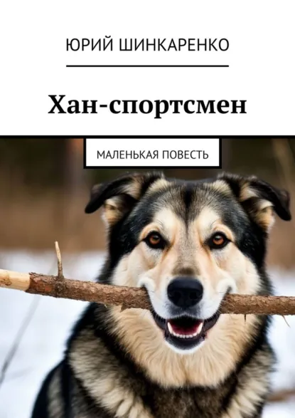 Обложка книги Хан-спортсмен. Маленькая повесть, Юрий Шинкаренко
