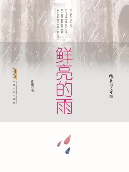 徐迅散文年编：鲜亮的雨