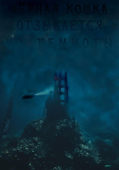 Чёрная кошка отзывается из темноты