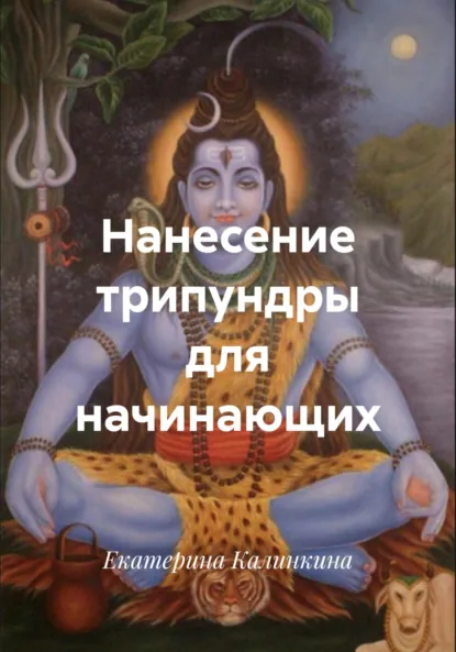 Обложка книги Нанесение трипундры для начинающих, Екатерина Анатольевна Калинкина
