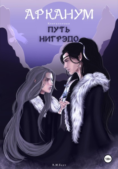 Арканум. Путь нигрэдо