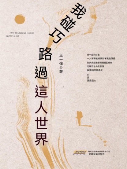 我碰巧路過這個世界