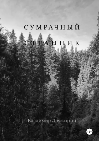Обложка книги Сумрачный странник, Владимир Дружинин