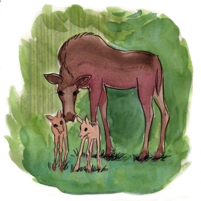 М.М.Пришвин "Лоси"