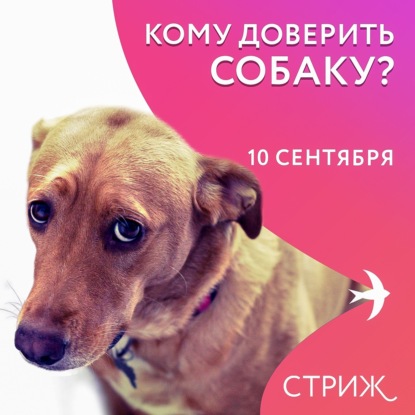 Непальцы защитили соцсети | Чем удивил Apple | Животные помогают с уборкой