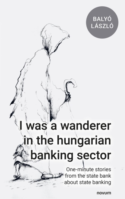 I was a wanderer in the hungarian banking sector