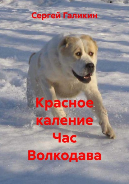 Красное каление Час Волкодава