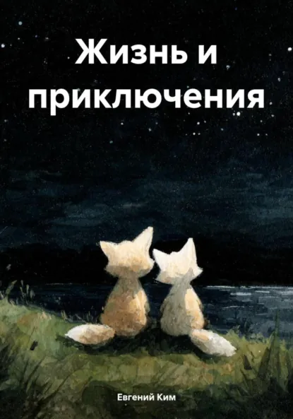 Обложка книги Жизнь и приключения, Евгений Михайлович Ким