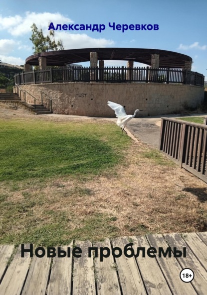 

Новые проблемы