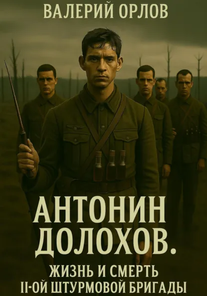 Обложка книги Антонин Долохов. Жизнь и смерть второй штурмовой бригады, Валерий Орлов