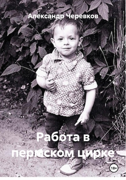 

Работа в пермском цирке