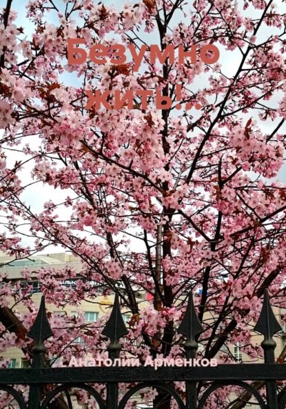 

Безумно жить!..