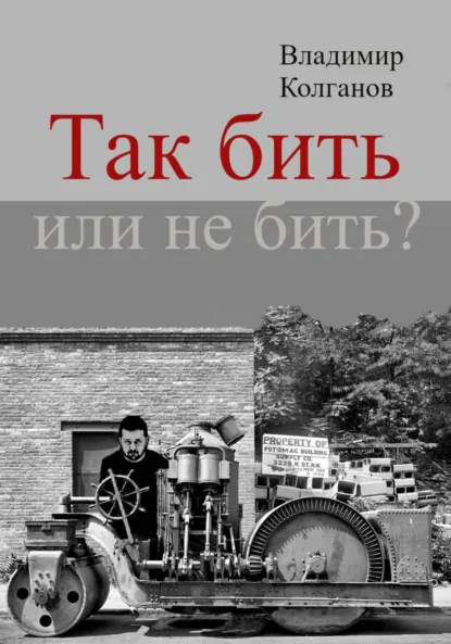Обложка книги Так бить или не бить?, Владимир Алексеевич Колганов