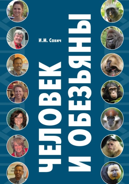 

Человек и обезьяны