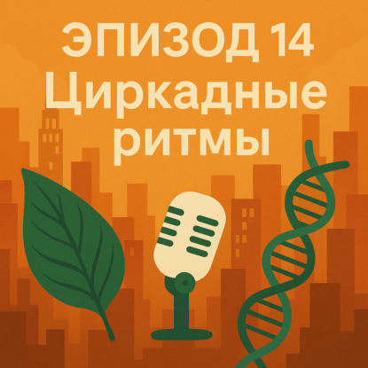 Эпизод 14. Нужен ли нам режим?