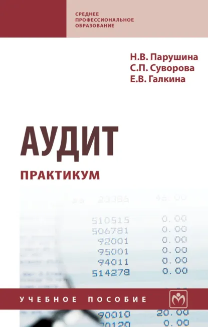 Обложка книги Аудит: практикум, Наталья Валерьевна Парушина