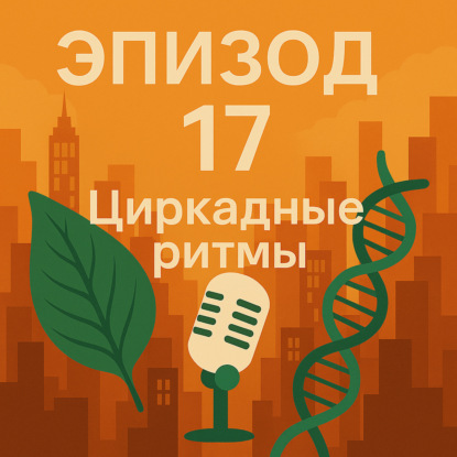 Эпизод 17. Социальный джетлаг: жаворонки, совы, уставшие гуси и битва с будильником