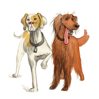 М.М.Пришвин "Как я научил своих собак горох есть"