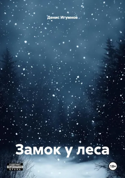 Обложка книги Замок у леса, Денис Александрович Игумнов